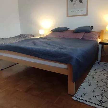 Family Savic Apartment